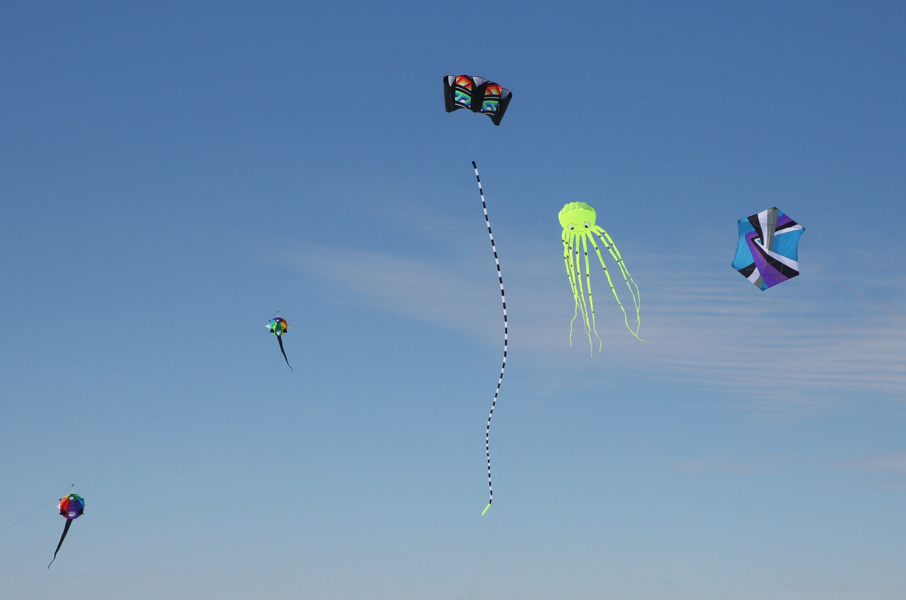 Color the Wind Kite Festival 2019 (14).jpg